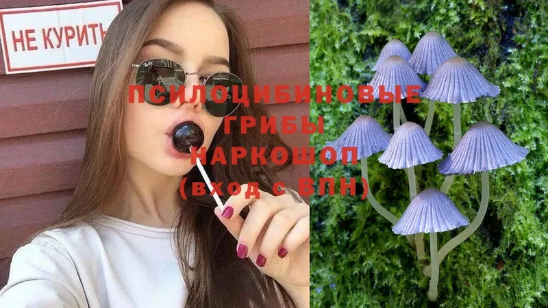 купить  сайты  Мегион  Галлюциногенные грибы Magic Shrooms 